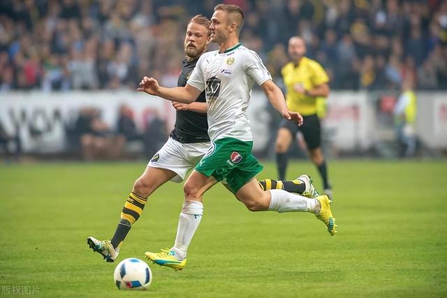 斯洛文尼亚队欧预赛表现抢眼的简单介绍